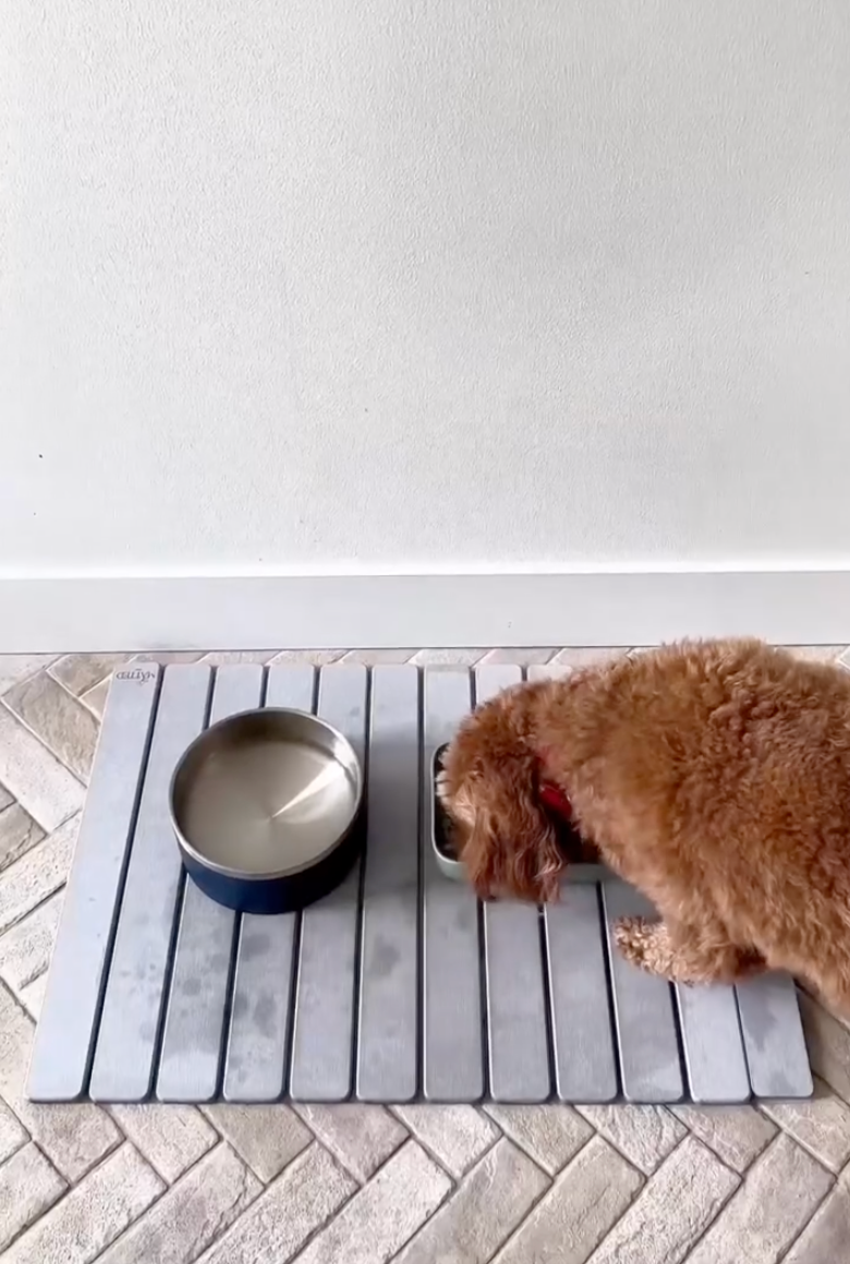 Alfombra de Piedra Baño Cocina - Secado Rapido