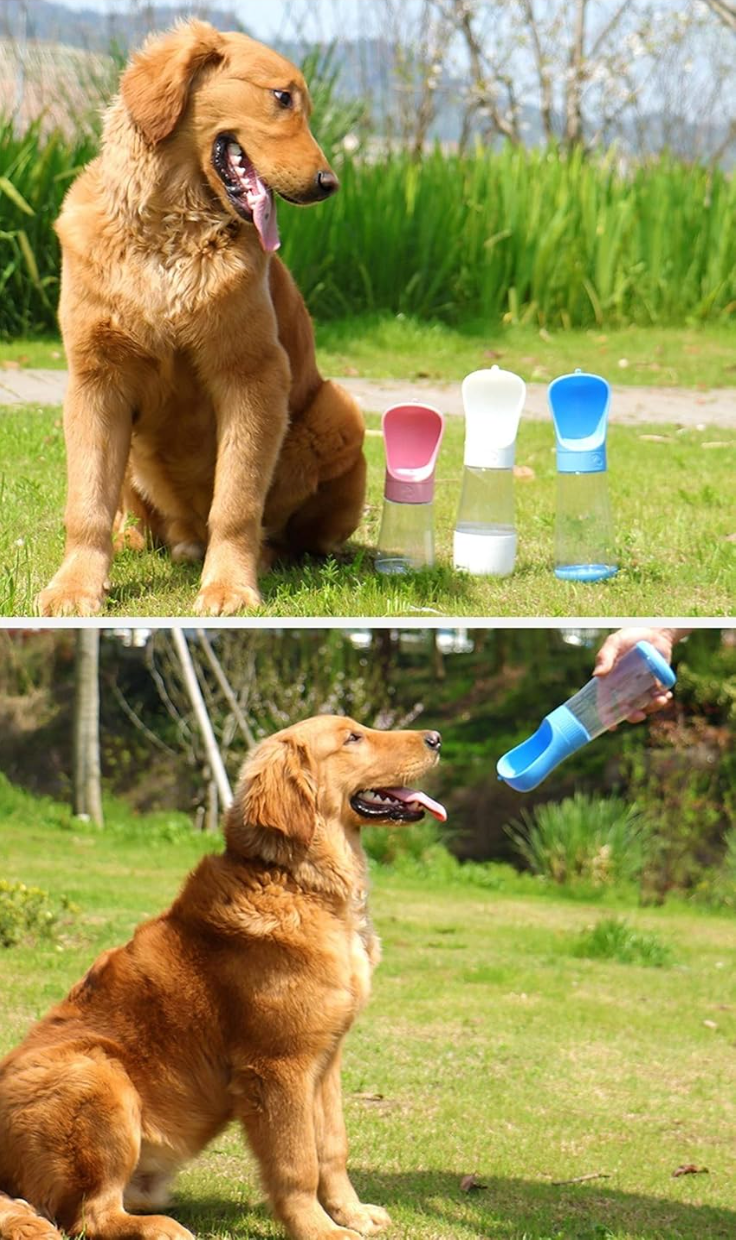 PetCup – Botella Portátil de Agua y Comida para Mascotas