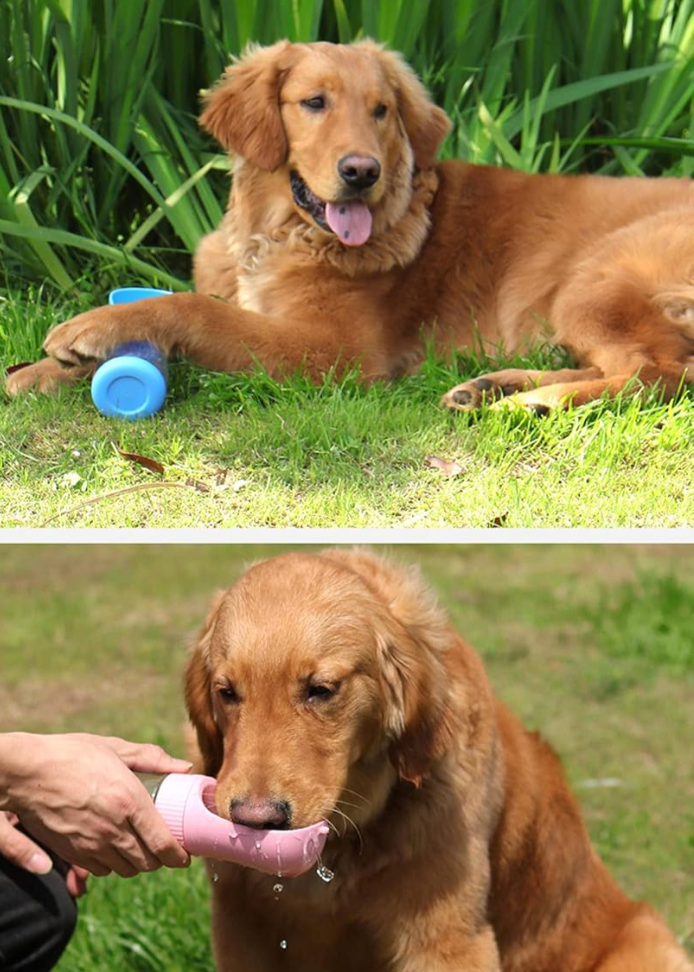 PetCup – Botella Portátil de Agua y Comida para Mascotas