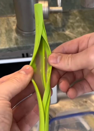 Sorbito de Silicona Reutilizable con Apertura para Limpieza